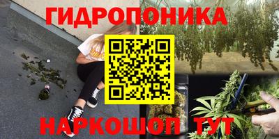 индика Моздок