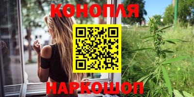 индика Моздок