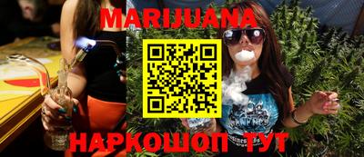 индика Моздок