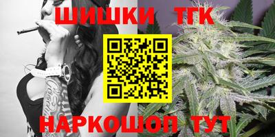 индика Моздок
