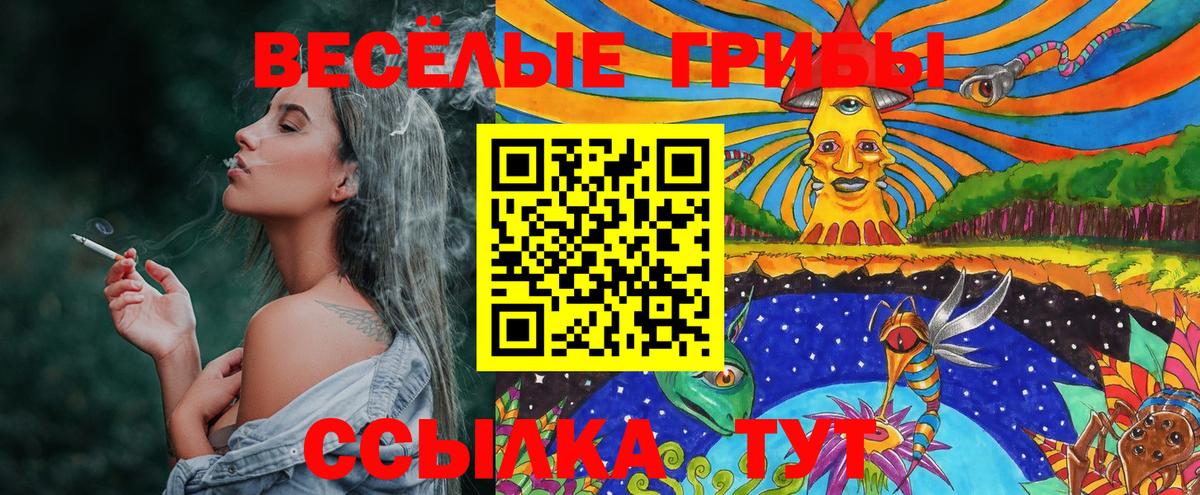 Галлюциногенные грибы GOLDEN TEACHER  Вход с VPN  где купить наркотик  Заволжье 